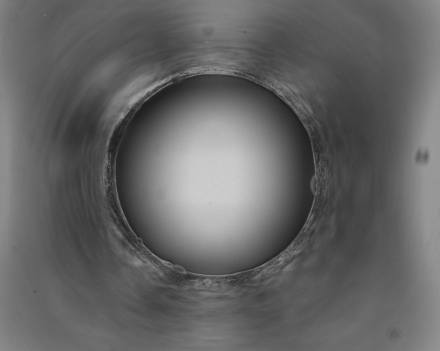 X0000091090338200708201502