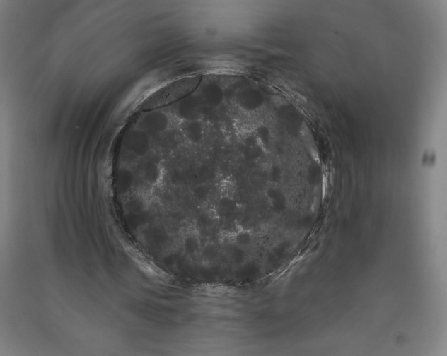 X0000091090339200708201502