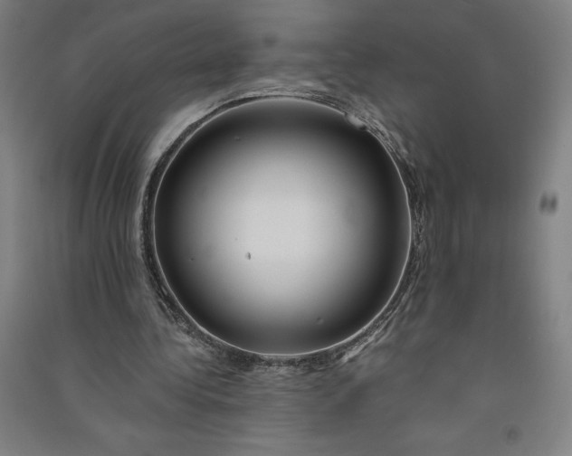 X0000091090340200708201502