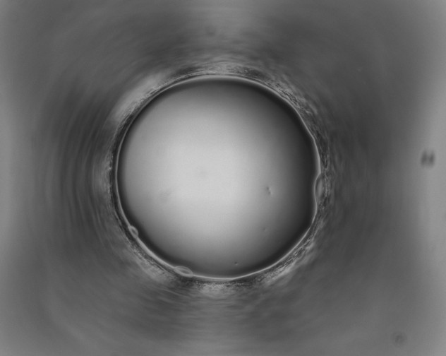 X0000091090341200708201502