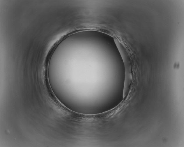 X0000091090342200708201502