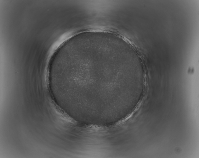 X0000091090343200708201502