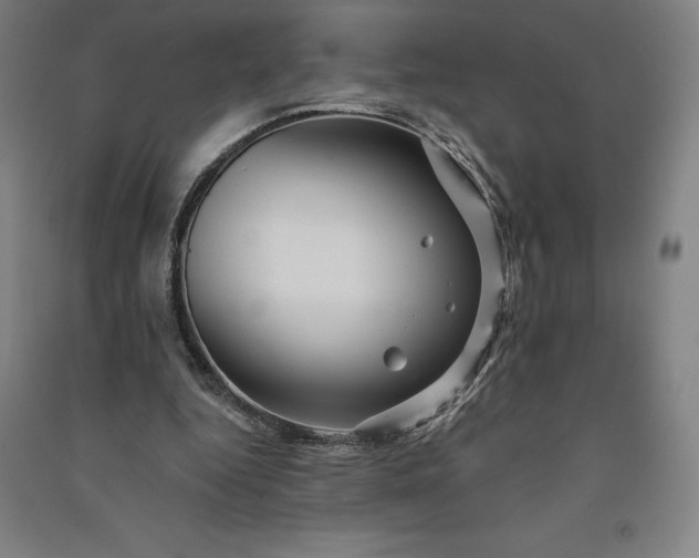 X0000091090344200708201502