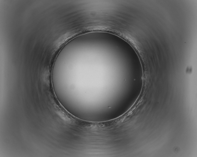 X0000091090345200708201502