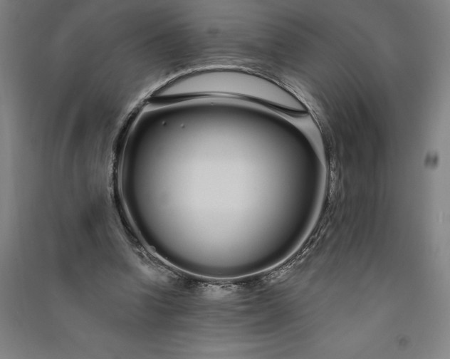 X0000091090346200708201502