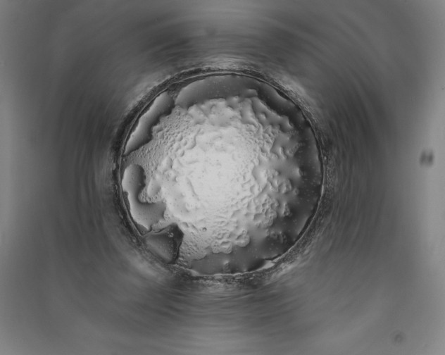 X0000091090347200708201502