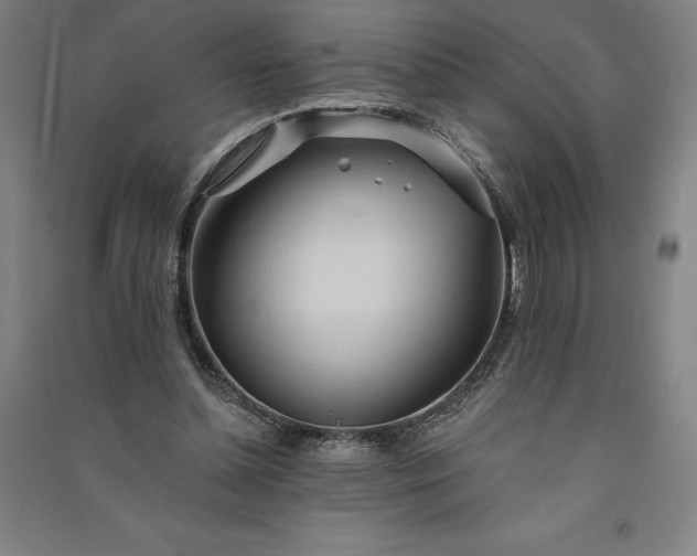 X0000091090348200708201502