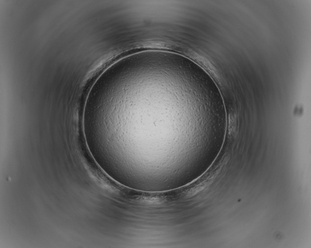 X0000091090349200708201502