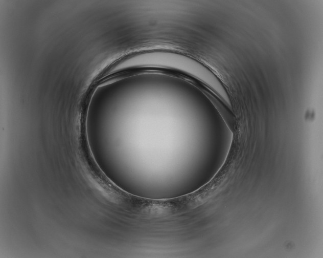 X0000091090350200708201502