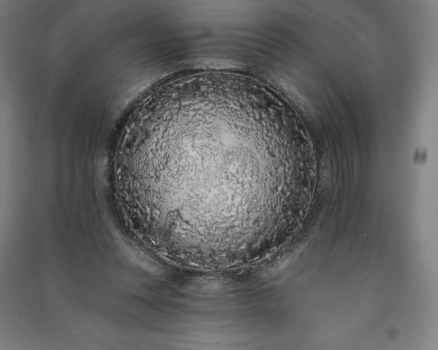 X0000091090351200708201502