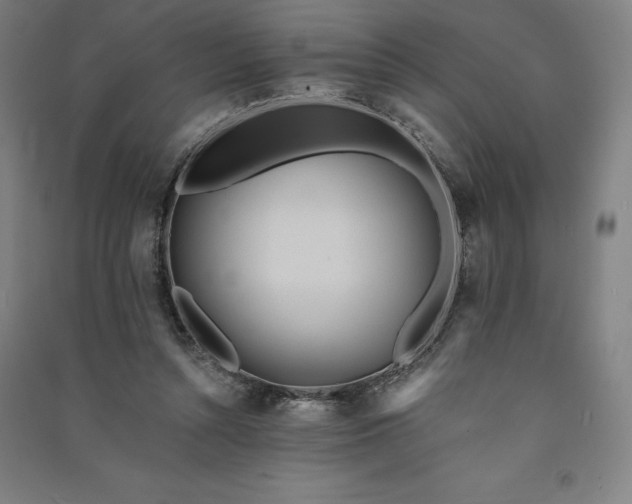 X0000091090352200708201502