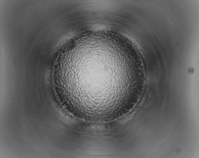 X0000091090353200708201502