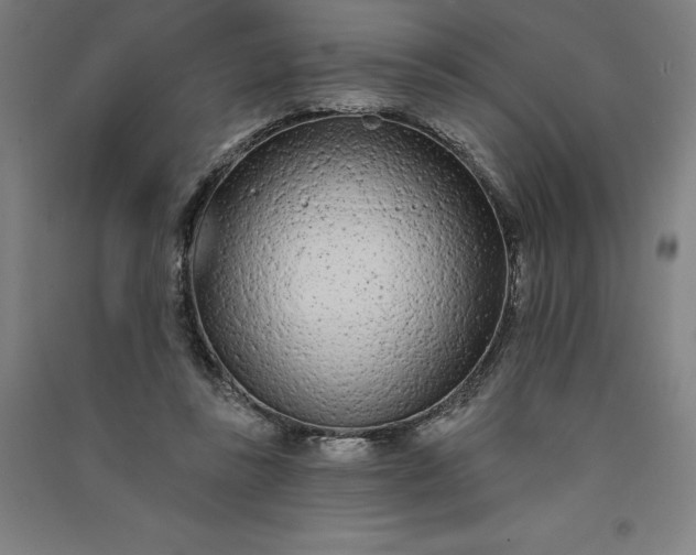 X0000091090355200708201502