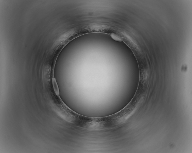 X0000091090356200708201502