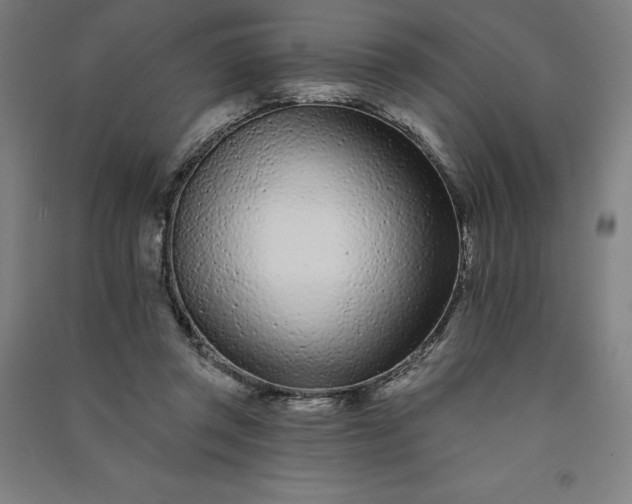 X0000091090357200708201502