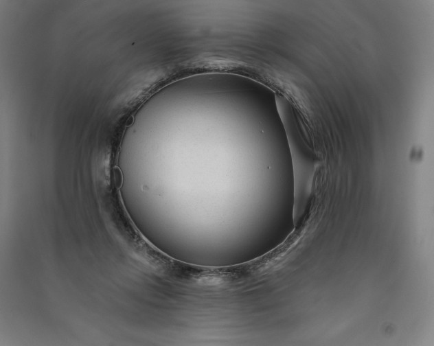 X0000091090358200708201503