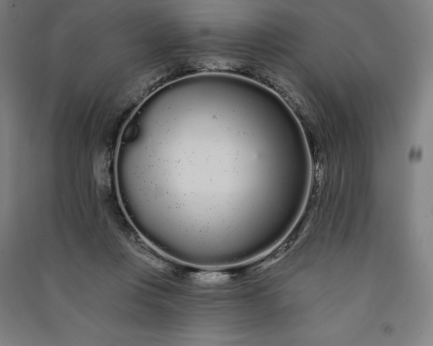 X0000091090359200708201503