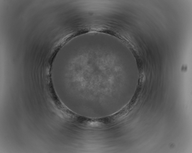 X0000091090360200708201503