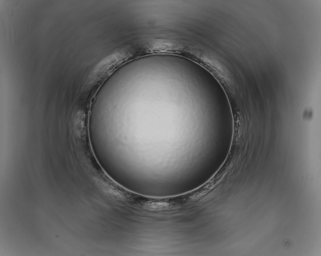 X0000091090361200708201503