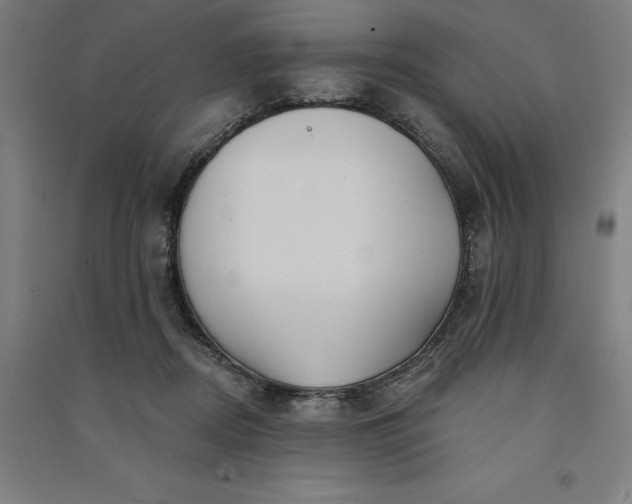 X0000091090362200708201503