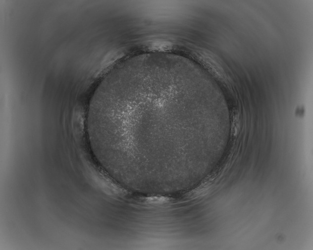 X0000091090363200708201503