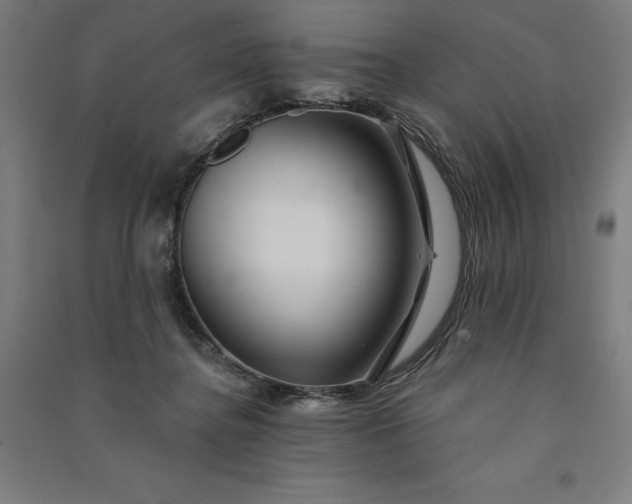 X0000091090364200708201503