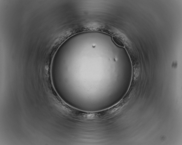 X0000091090365200708201503