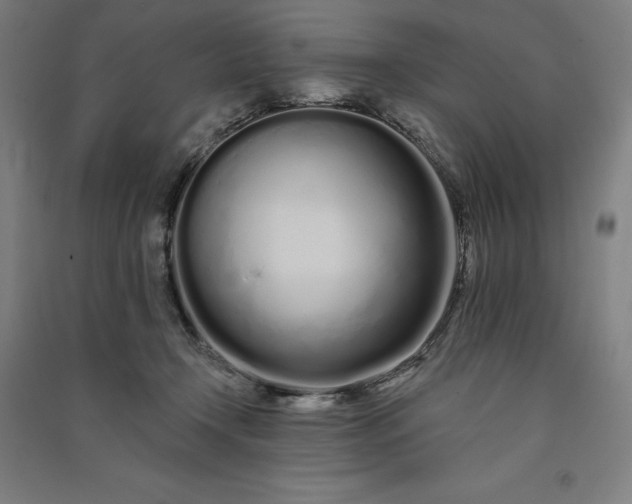 X0000091090366200708201503