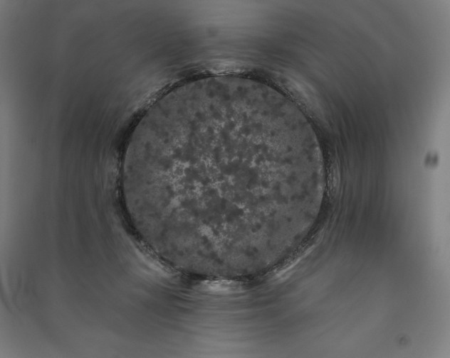 X0000091090367200708201503