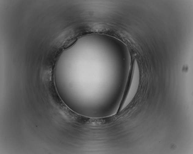 X0000091090368200708201503