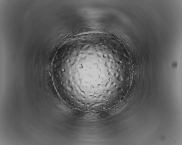 X0000091090369200708201503