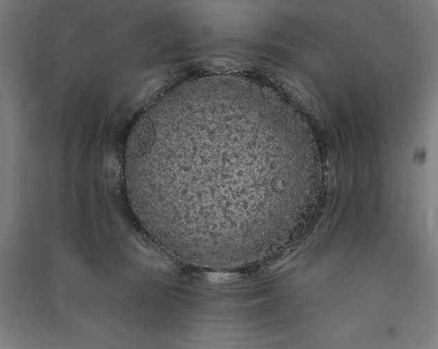 X0000091090371200708201503