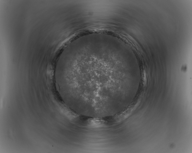 X0000091090372200708201503