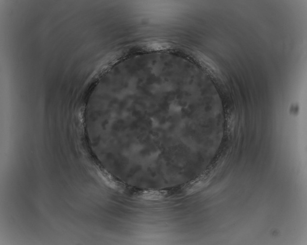 X0000091090373200708201503