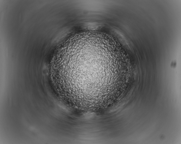 X0000091090374200708201503