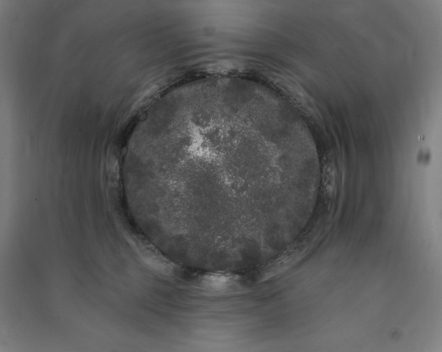 X0000091090375200708201503