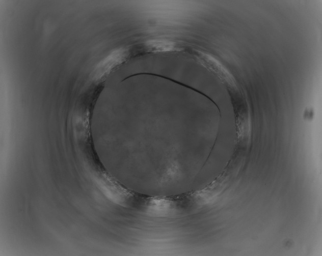 X0000091090376200708201503