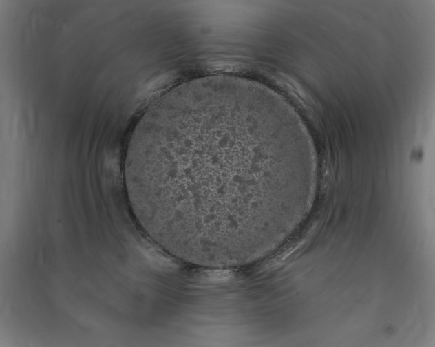 X0000091090377200708201503