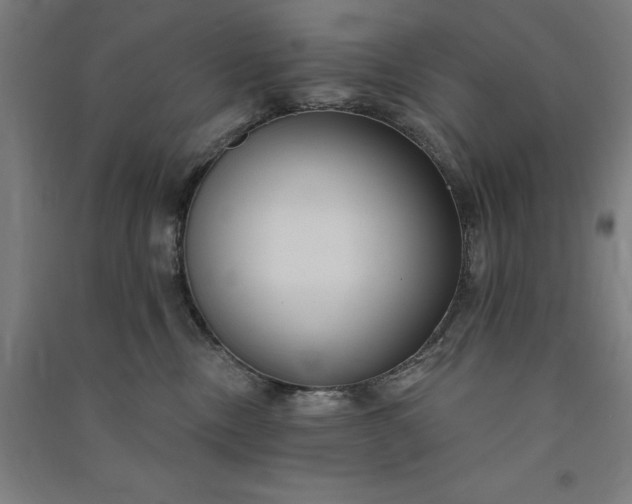 X0000091090378200708201503