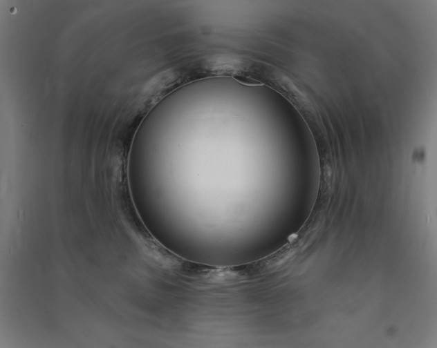 X0000091090379200708201503