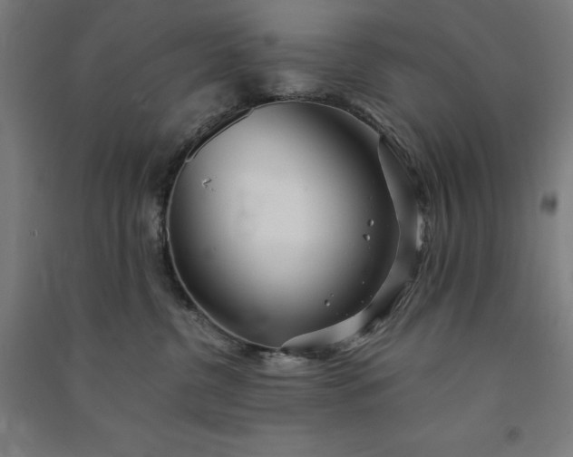 X0000091090380200708201503