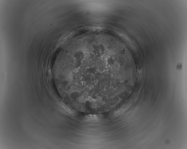 X0000091090381200708201503