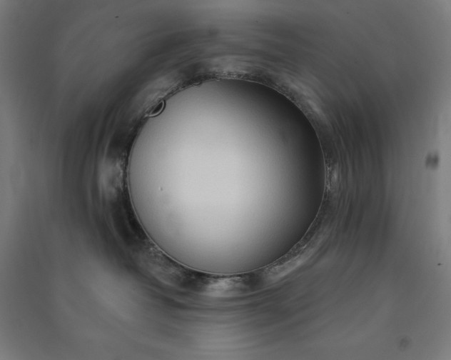 X0000091090382200708201503