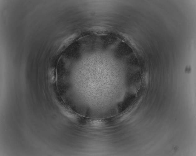 X0000091090383200708201503