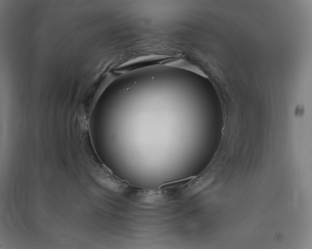 X0000091090384200708201503