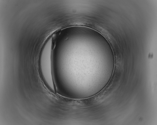 X0000091090386200708201502