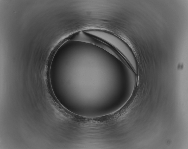 X0000091090387200708201502