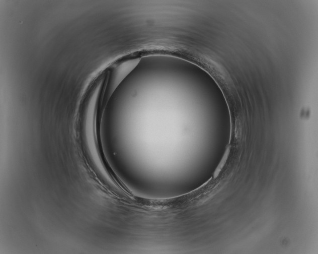 X0000091090388200708201502