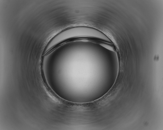 X0000091090389200708201502