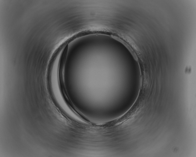 X0000091090391200708201502